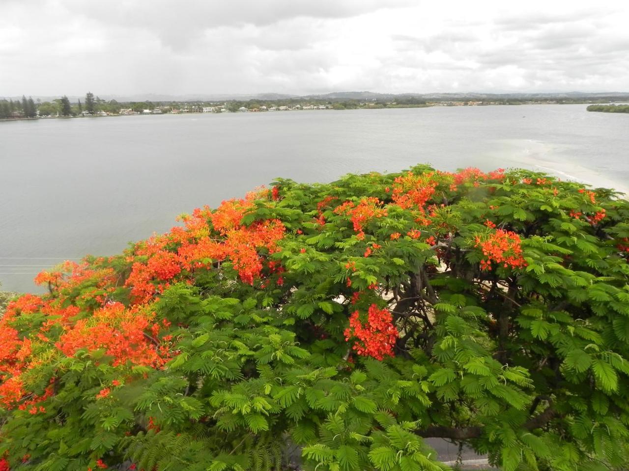 Leisure-Lee Holiday Apartments Ballina Ngoại thất bức ảnh